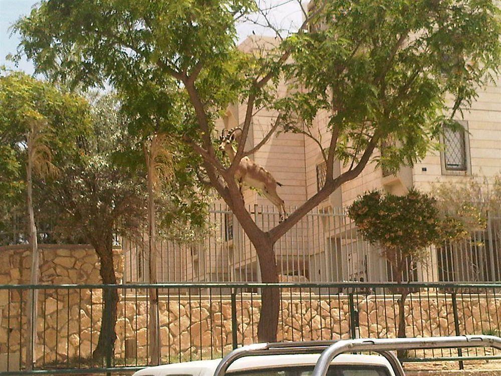 Ramon Suites By Smart Hotels Mitzpe Ramon Eksteriør bilde