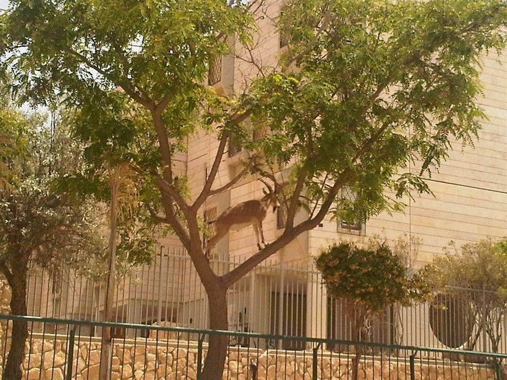 Ramon Suites By Smart Hotels Mitzpe Ramon Eksteriør bilde