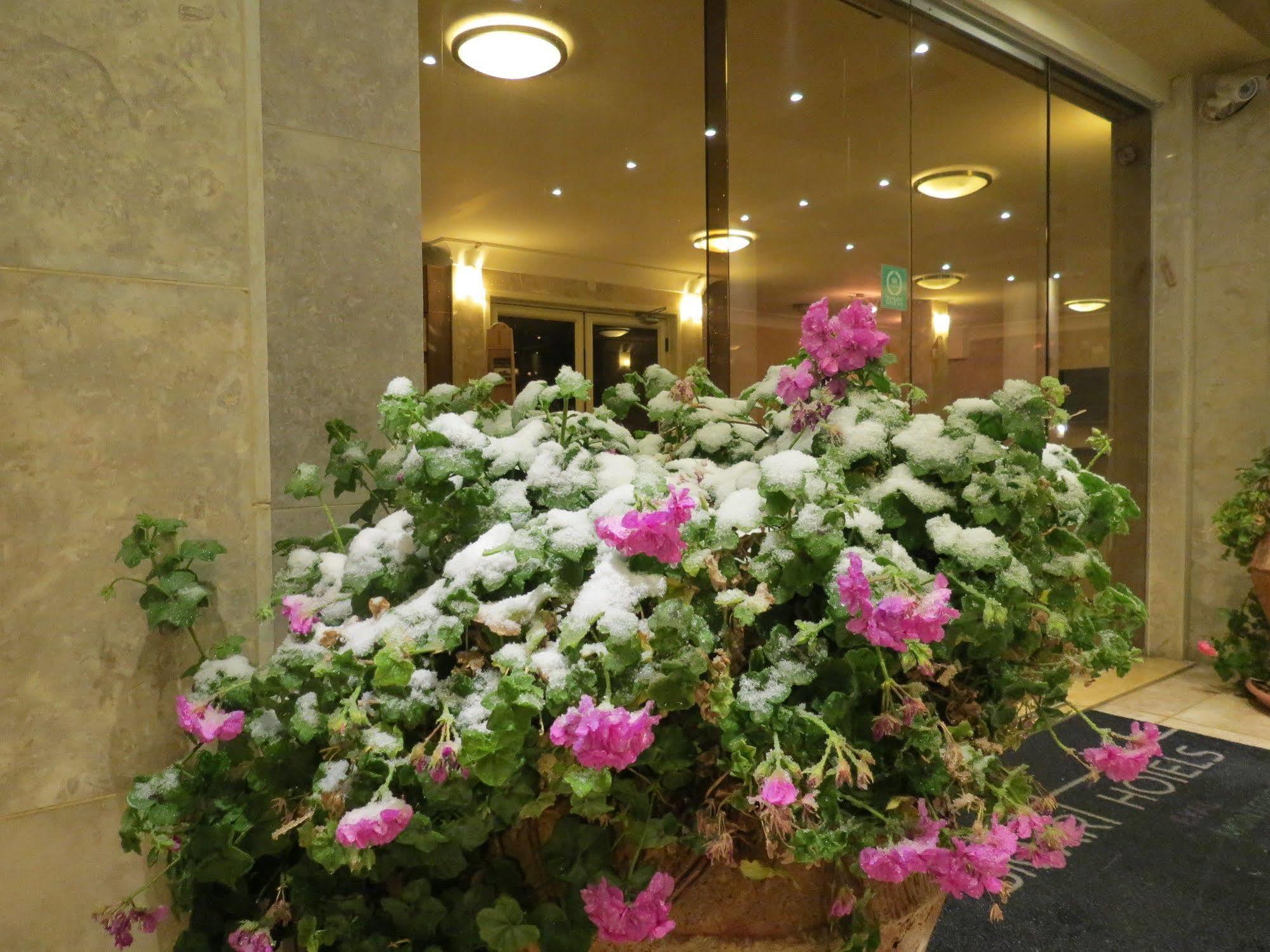 Ramon Suites By Smart Hotels Mitzpe Ramon Eksteriør bilde